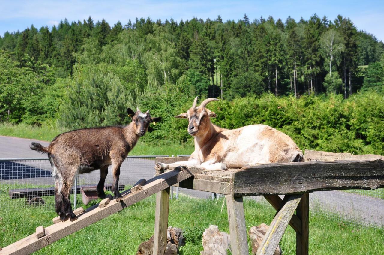 Am Waldbad 2* Breitenbach (Thuringia)